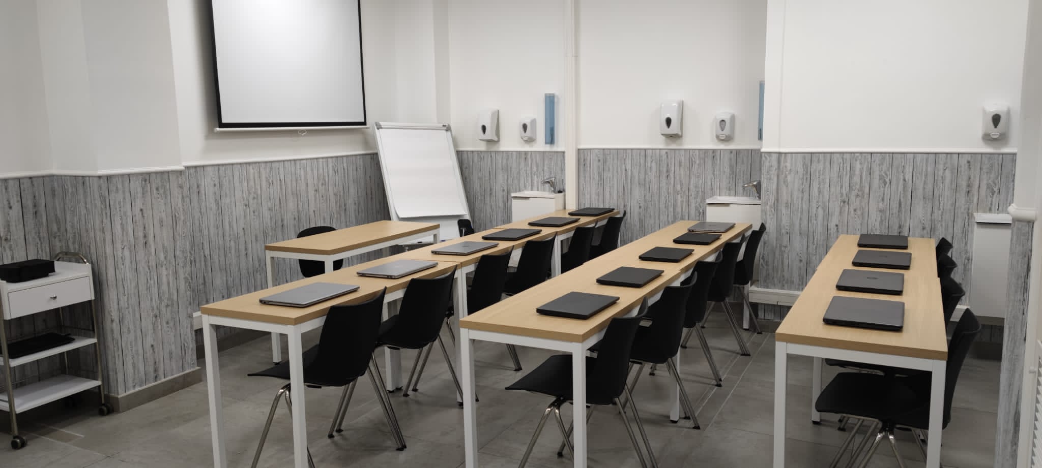 Curso Micropigmentación Facial 2