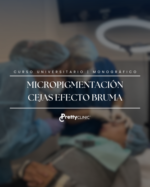 Curso Universitario Micropigmentación en Cejas Efecto Bruma